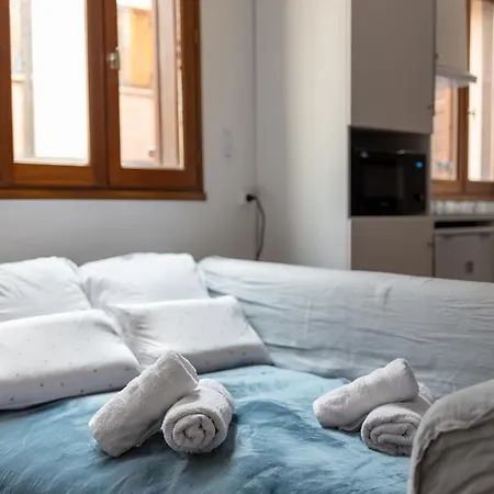 דירה Duplex Capitole טולוז