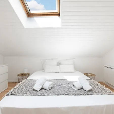 Apartment Duplex Moderne - Capitole - Metro - T2 De Gamme *